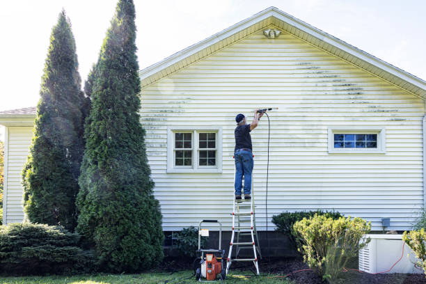Best House Pressure Washing  in Manvel, TX