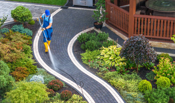 Best House Pressure Washing  in Manvel, TX