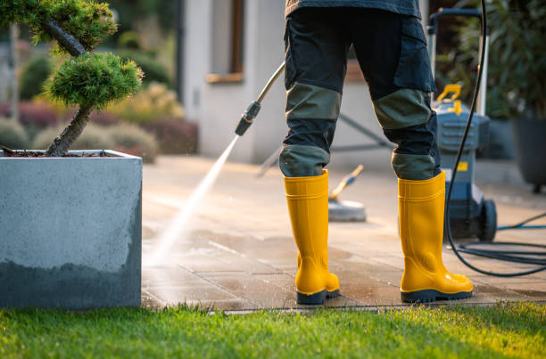 Best Pressure Washing Estimates  in Manvel, TX